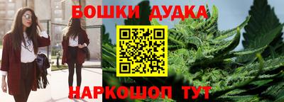 крисы Будённовск