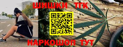 крисы Будённовск